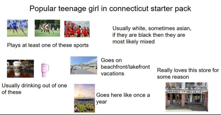 Popular teenage girl in connecticut starter pack Plays at least one of these sports Usually white, sometimes asian, if they are black then they are most likely mixed Goes on beachfront/lakefront vacations Really loves this store for some reason Usually drinking out of one of these Goes here like once a year BRANDY MELVILLE