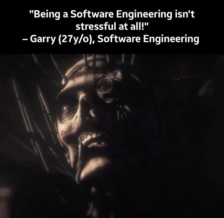 "Being a Software Engineering isn't stressful at all!" - Garry (27y/o), Software Engineering