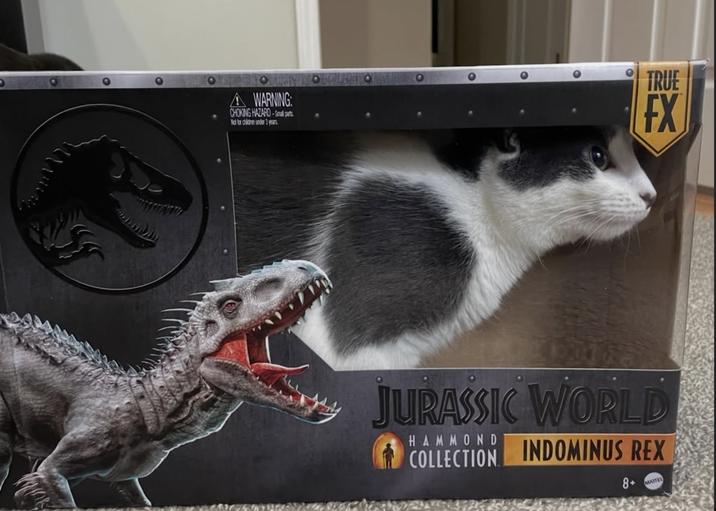 A WARNING: CHOKING HAZARD-Small parts Not for children under 3 years TRUE FX JURASSIC WORLD HAMMOND COLLECTION INDOMINUS REX 8+ MAITEL