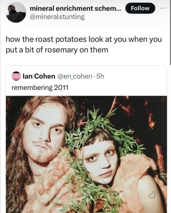 mineral enrichment schem... Follow @mineralstunting how the roast potatoes look at you when you put a bit of rosemary on them lan Cohen @en_cohen.5h remembering 2011