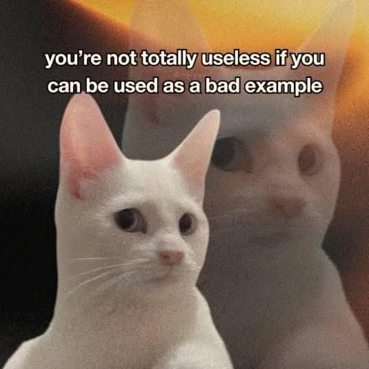 you're not totally useless if you can be used as a bad example