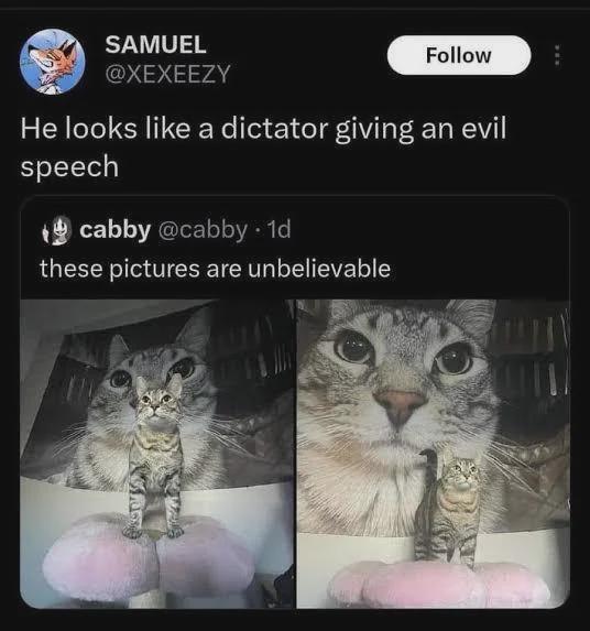 SAMUEL @XEXEEZY Follow He looks like a dictator giving an evil speech cabby @cabby - 1d these pictures are unbelievable