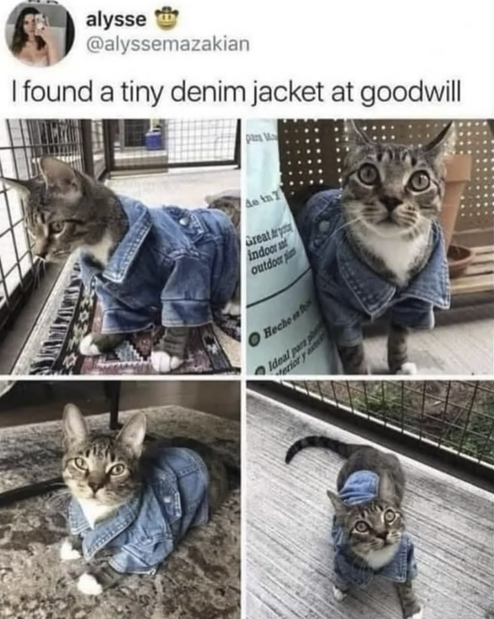 alysse @alyssemazakian I found a tiny denim jacket at goodwill para V de in Great Ar indoor outdoor pl O Hecho ex Ideal para p Herior y ext