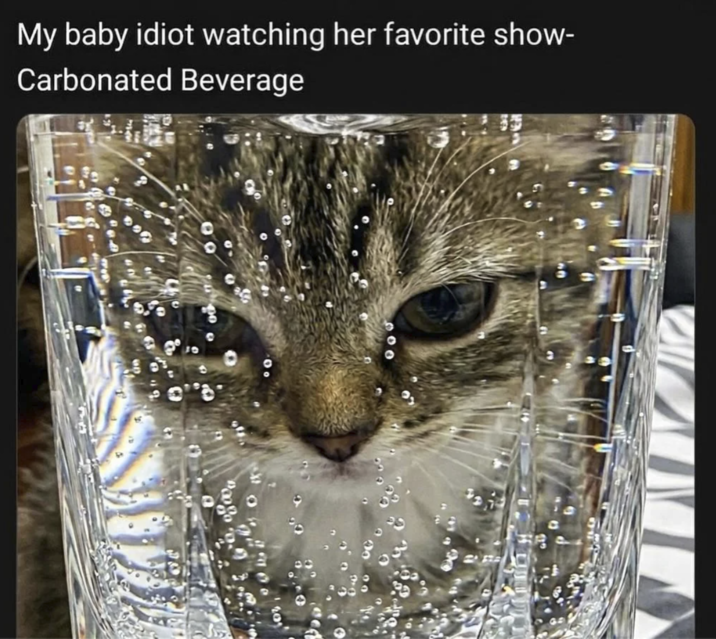 My baby idiot watching her favorite show- Carbonated Beverage g