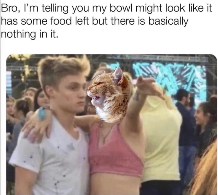 Bro, I'm telling you my bowl might look like it has some food left but there is basically nothing in it.
