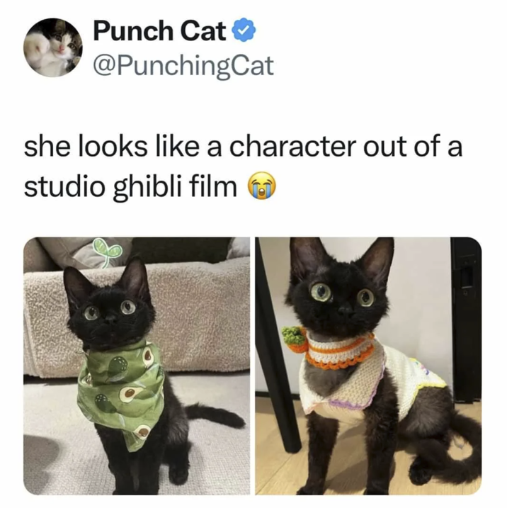 Punch Cat @PunchingCat she looks like a character out of a studio ghibli film