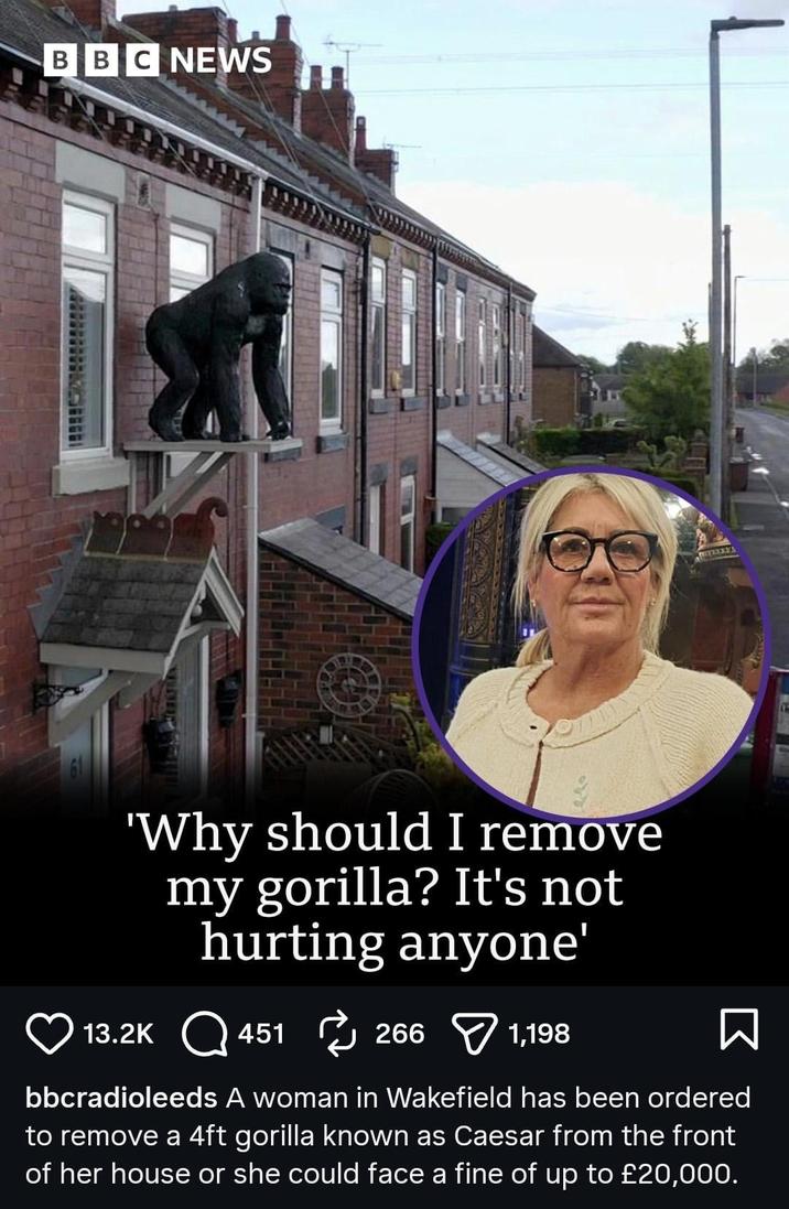 BBC NEWS 'Why should I remove my gorilla? It's not hurting anyone' 13.2K 451 266 4512661,198 Σ bbcradioleeds A woman in Wakefield has been ordered to remove a 4ft gorilla known as Caesar from the front of her house or she could face a fine of up to £20,000.
