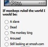 POLL If monkeys ruled the world I would be: OOOO A slave Dead The monkey king Aroused Still looking at smosh.com