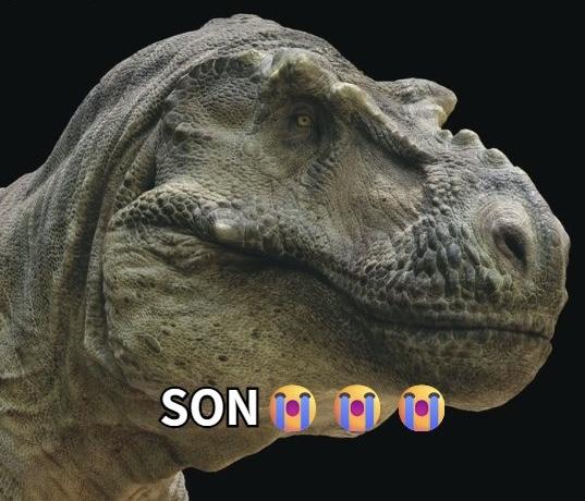 SON 11