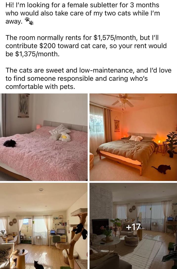 Hi! I'm looking for a female subletter for 3 months who would also take care of my two cats while I'm away. The room normally rents for $1,575/month, but I'll contribute $200 toward cat care, so your rent would be $1,375/month. The cats are sweet and low-maintenance, and I'd love to find someone responsible and caring who's comfortable with pets. +17