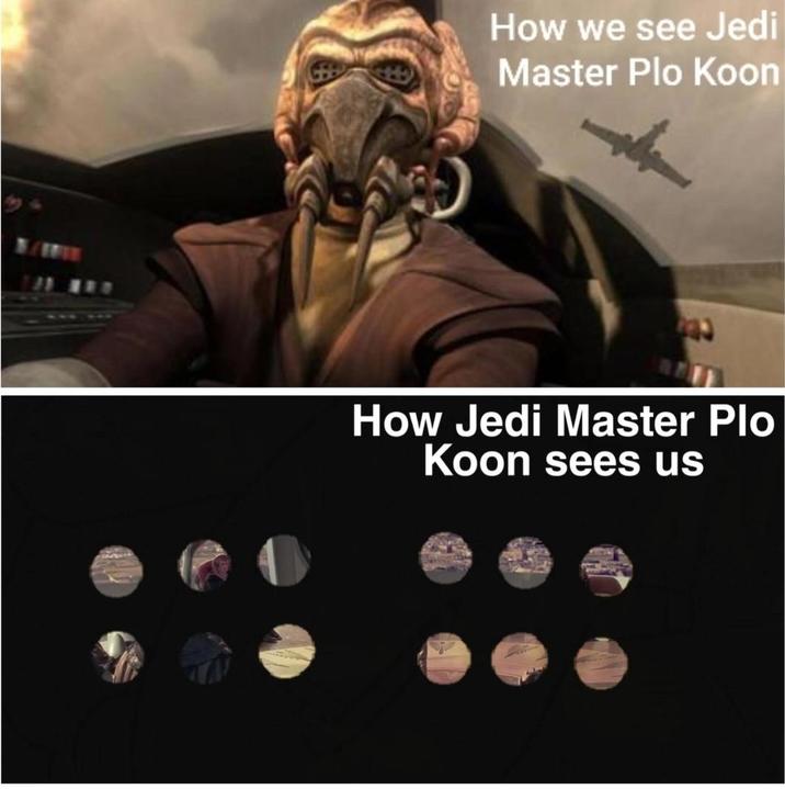 How we see Jedi Master Plo Koon How Jedi Master Plo Koon sees us