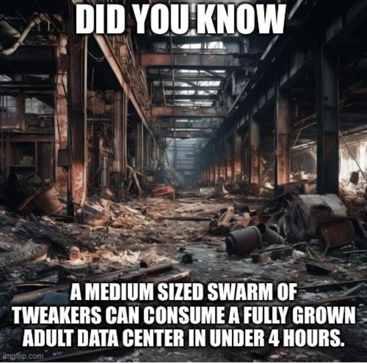 DID YOU KNOW A MEDIUM SIZED SWARM OF TWEAKERS CAN CONSUME A FULLY GROWN ADULT DATA CENTER IN UNDER 4 HOURS. imgflip.com