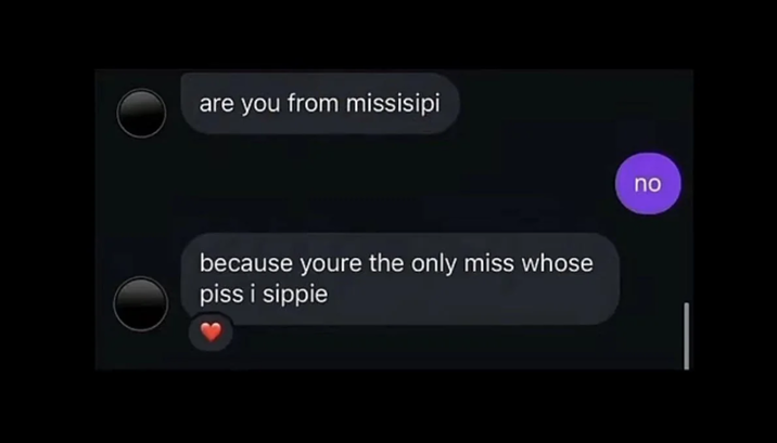 are you from missisipi because youre the only miss whose piss i sippie no
