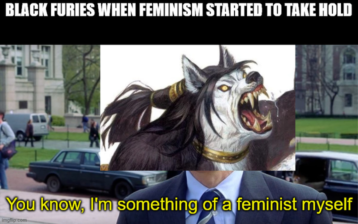 BLACK FURIES WHEN FEMINISM STARTED TO TAKE HOLD You know, I'm something of a feminist myself imgflip.com