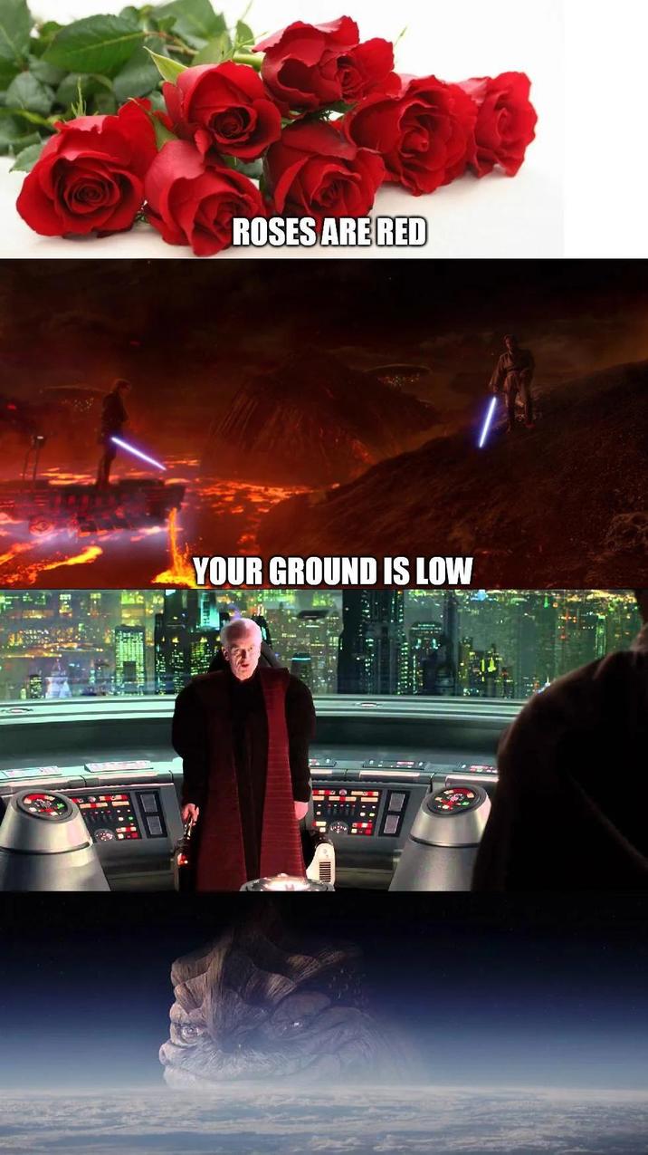 ROSES ARE RED YOUR GROUND IS LOW