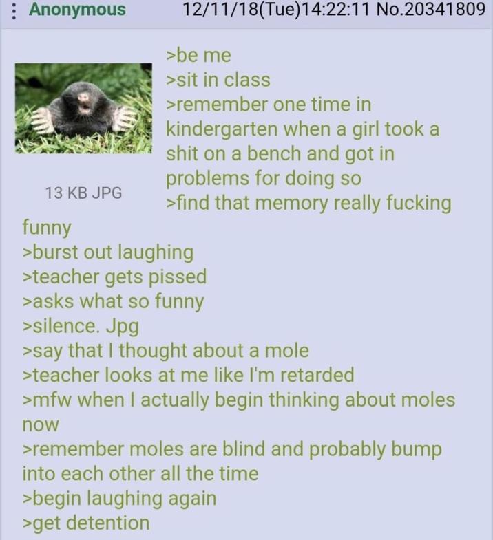 Anonymous 13 KB JPG funny 12/11/18(Tue)14:22:11 No.20341809 >be me >sit in class >remember one time in kindergarten when a girl took a s--- on a bench and got in problems for doing so >find that memory really f------ >burst out laughing >teacher gets p----- >asks what so funny >silence. Jpg >say that I thought about a mole >teacher looks at me like I'm retarded >mfw when I actually begin thinking about moles now >remember moles are blind and probably bump into each other all the time >begin laughing again >get detention