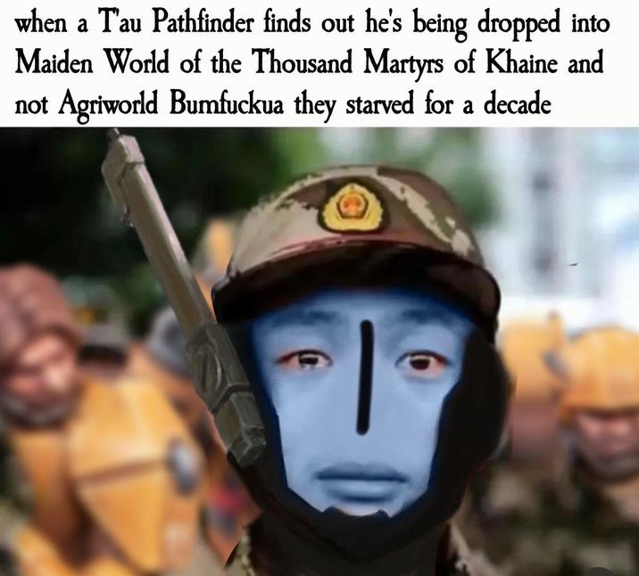when a Tau Pathfinder finds out he's being dropped into Maiden World of the Thousand Martyrs of Khaine and not Agriworld Bumfuckua they starved for a decade