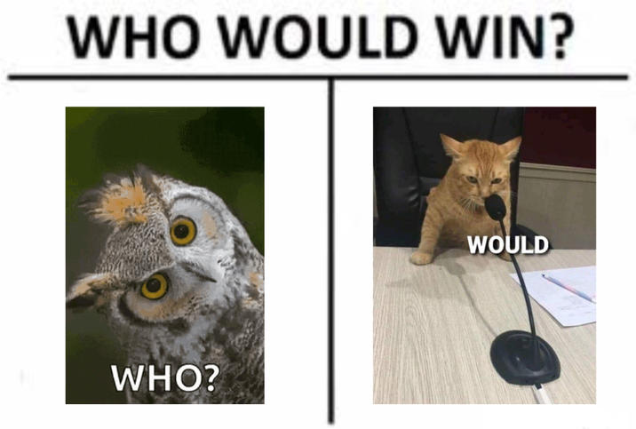 WHO WOULD WIN? WHO? WOULD