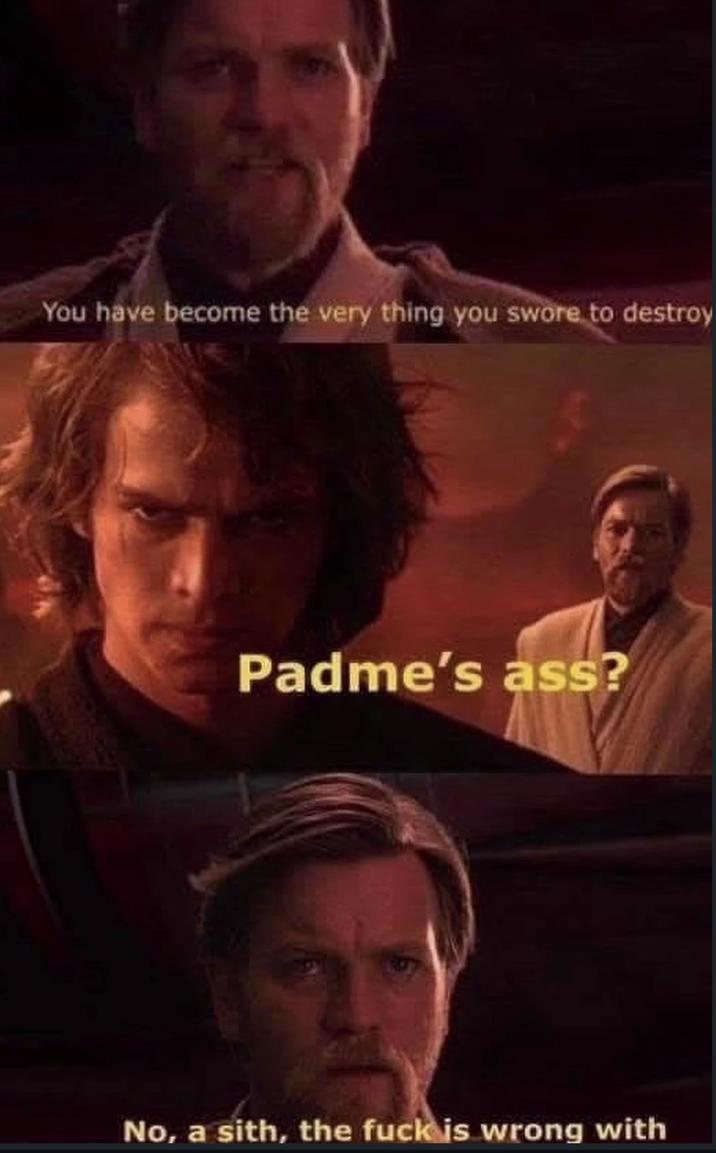 99 You have become the very thing you swore to destroy Padme's ass? No, a sith, the f--- is wrong with