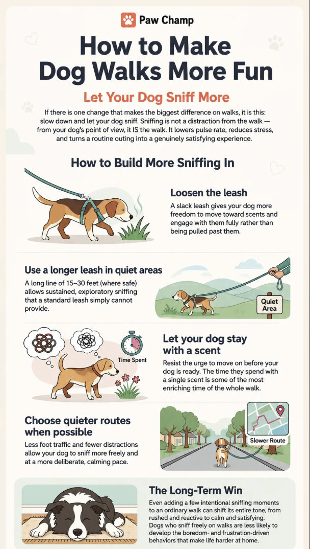 Paw Champ How to Make Dog Walks More Fun Let Your Dog Sniff More If there is one change that makes the biggest difference on walks, it is this: slow down and let your dog sniff. Sniffing is not a distraction from the walk- from your dog's point of view, it IS the walk. It lowers pulse rate, reduces stress, and turns a routine outing into a genuinely satisfying experience. How to Build More Sniffing In Loosen the leash A slack leash gives your dog more freedom to move toward scents and engage with them fully rather than being pulled past them. Use a longer leash in quiet areas A long line of 15-30 feet (where safe) allows sustained, exploratory sniffing that a standard leash simply cannot provide. Quiet Area Time Spent Let your dog stay with a scent Resist the urge to move on before your dog is ready. The time they spend with a single scent is some of the most enriching time of the whole walk. Choose quieter routes when possible Less foot traffic and fewer distractions allow your dog to sniff more freely and at a more deliberate, calming pace. Slower Route 77777777 TITTIT The Long-Term Win Even adding a few intentional sniffing moments to an ordinary walk can shift its entire tone, from rushed and reactive to calm and satisfying. Dogs who sniff freely on walks are less likely to develop the boredom- and frustration-driven behaviors that make life harder at home.