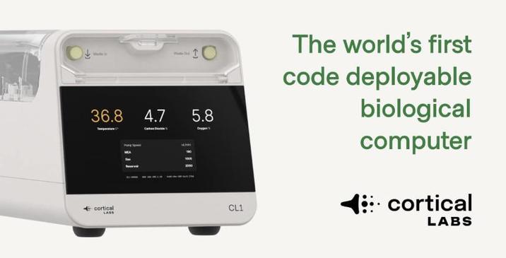 36.8 cortical LARS C 4.7 1000 5.8 Opp CL1 The world's first code deployable biological computer cortical LABS