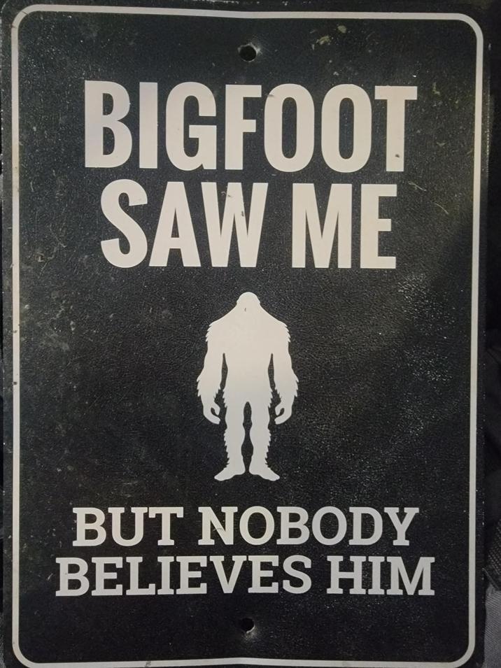 BIGFOOT SAW ME BUT NOBODY BELIEVES HIM