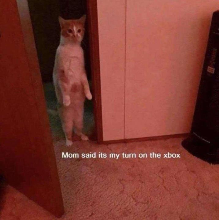 Mom said its my turn on the xbox