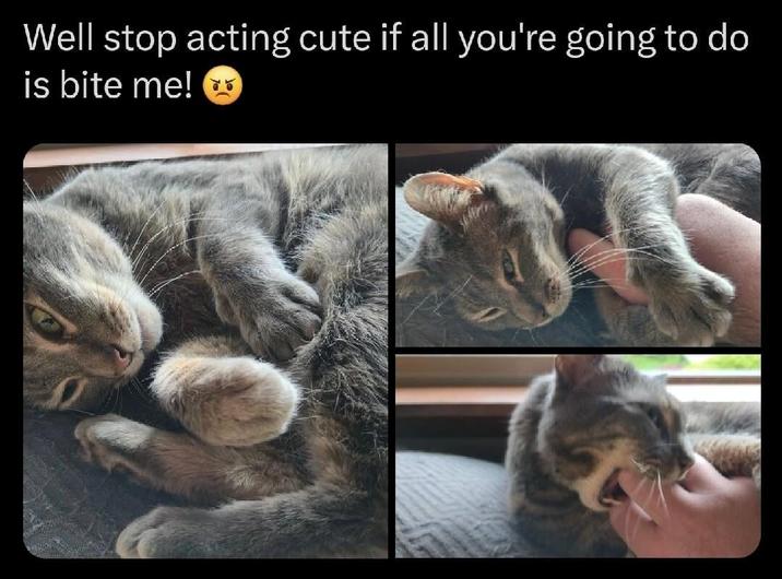 Well stop acting cute if all you're going to do is bite me!