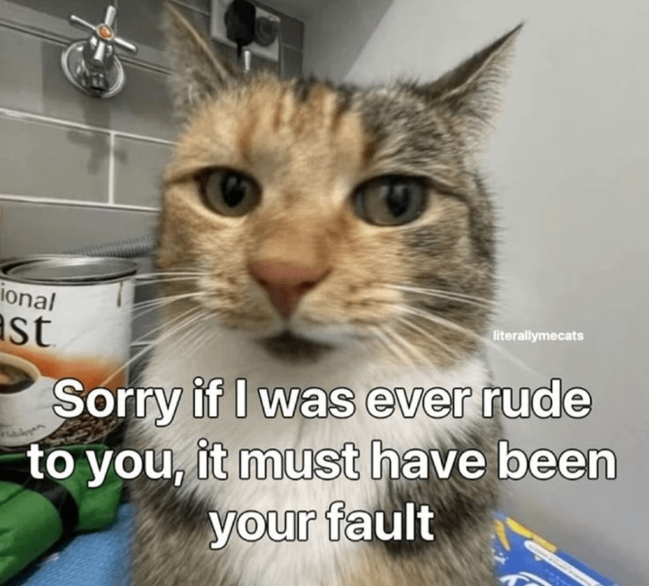 ional st literallymecats Sorry if I was ever rude to you, it must have been your fault