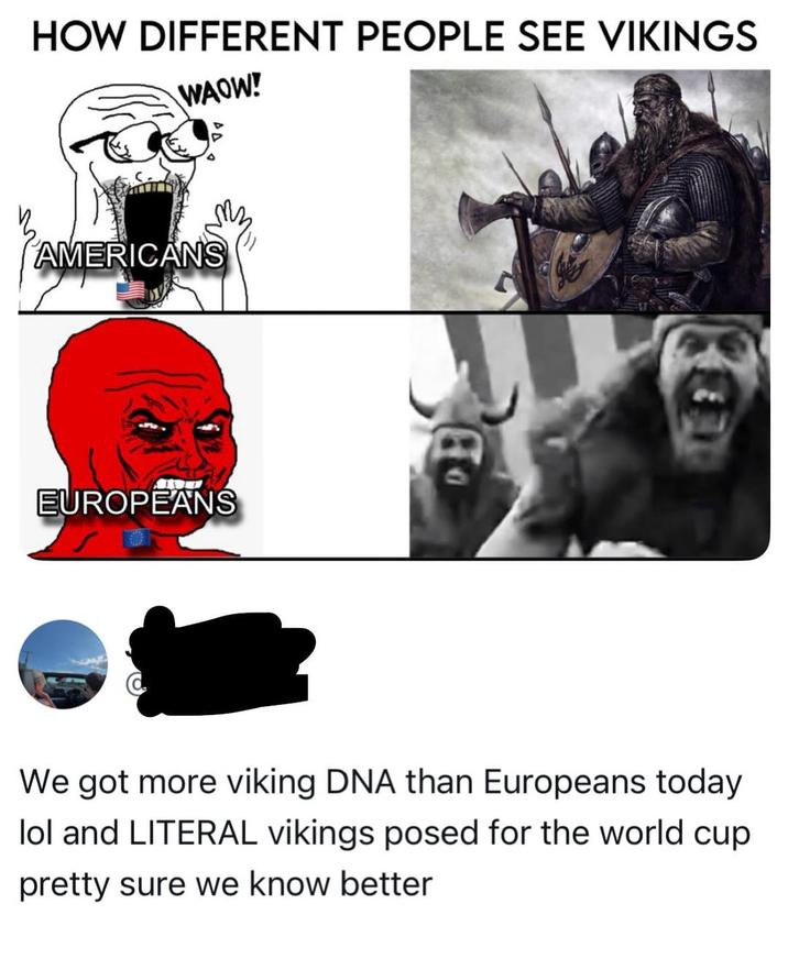 HOW DIFFERENT PEOPLE SEE VIKINGS WAOW! AMERICANS EUROPEANS We got more viking DNA than Europeans today lol and LITERAL vikings posed for the world cup pretty sure we know better