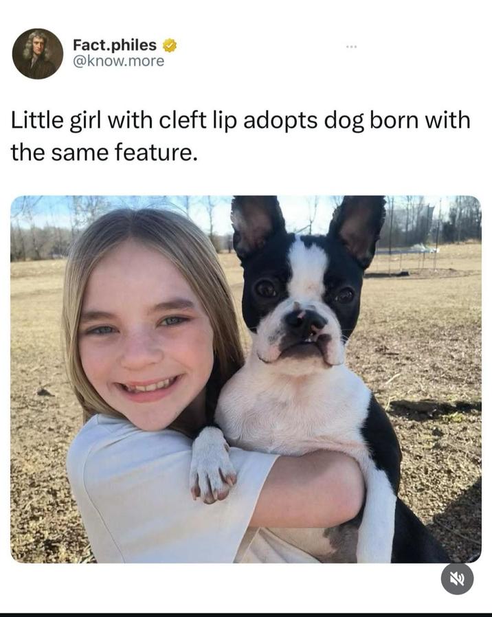 Fact.philes → @know.more Little girl with cleft lip adopts dog born with the same feature. 71