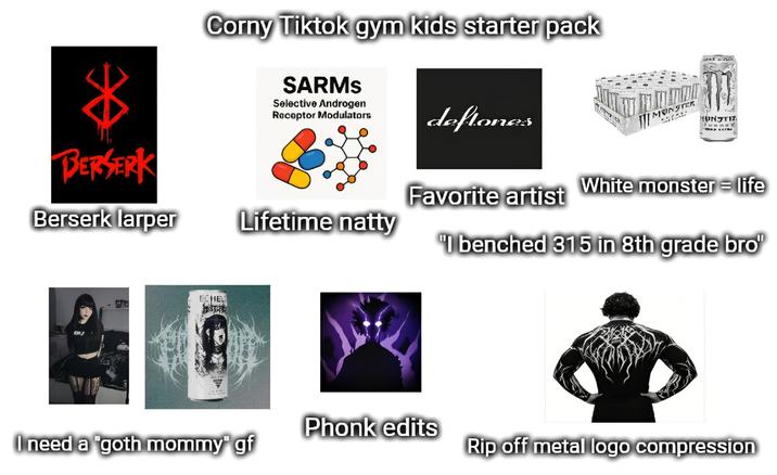 BERSERK Corny Tiktok gym kids starter pack SARMS Selective Androgen Rocoptor Modulators deftones MONSTER HUNTE Favorite artist White monster = life Berserk larper Lifetime natty "I benched 315 in 8th grade bro ECHE Phonk edits I need a goth mommy gf Rip off metal logo compression