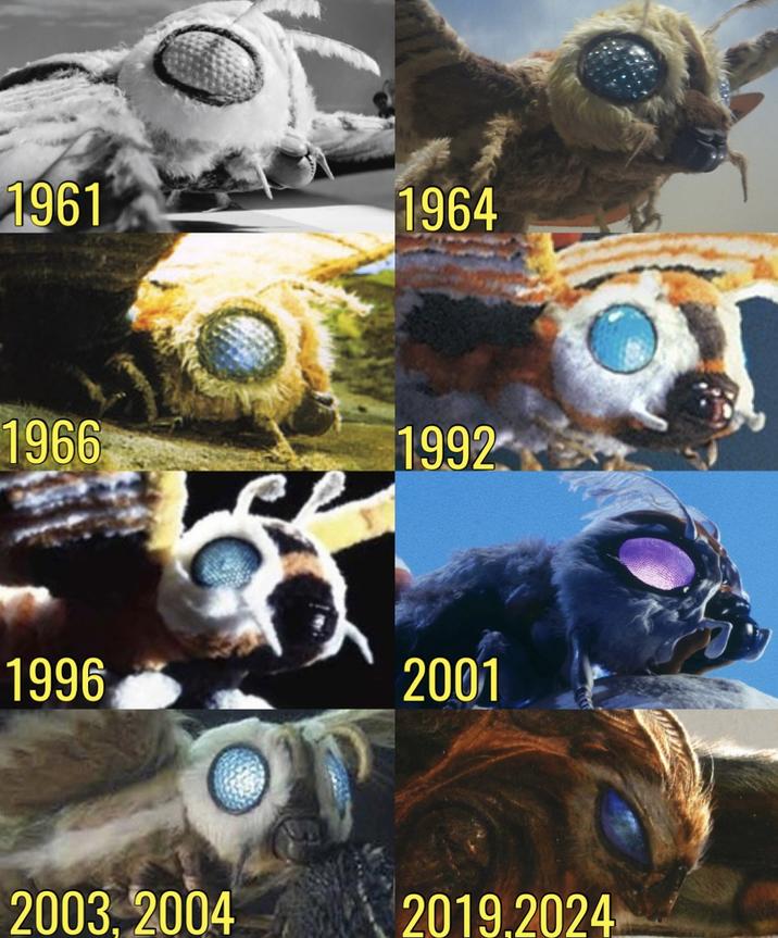 1961 1964 1966 1992 1996 2001 2003, 2004 2019.2024