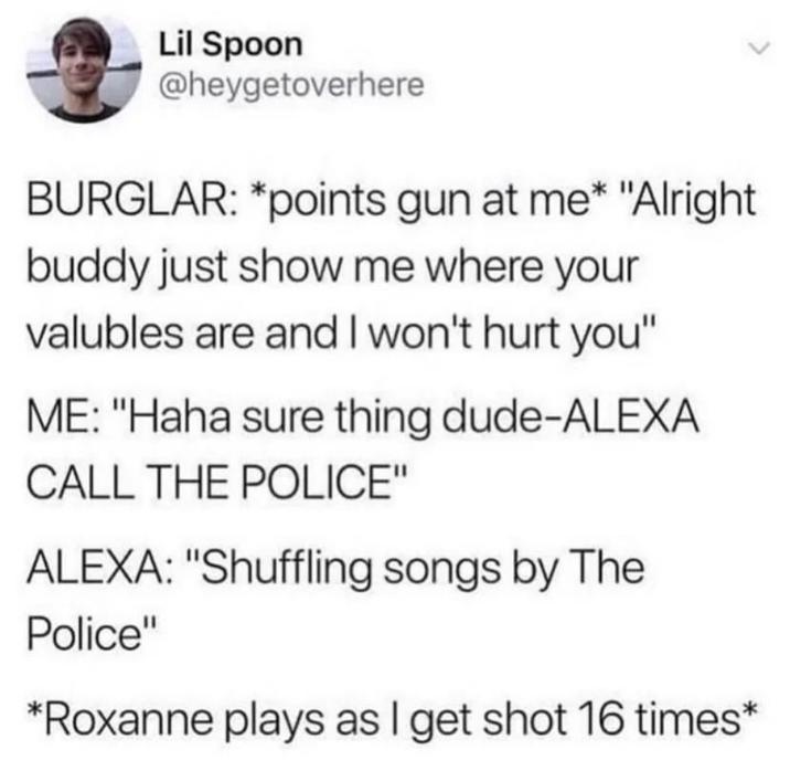 Lil Spoon @heygetoverhere BURGLAR: *points gun at me* "Alright buddy just show me where your valubles are and I won't hurt you" ME: "Haha sure thing dude-ALEXA CALL THE POLICE" ALEXA: "Shuffling songs by The Police" *Roxanne plays as I get shot 16 times*