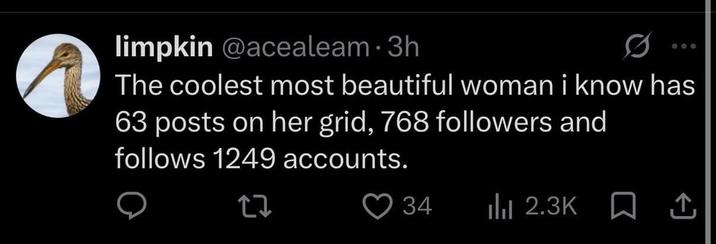 limpkin @acealeam.3h 0 000 The coolest most beautiful woman i know has 63 posts on her grid, 768 followers and follows 1249 accounts. 27 34 Ilil 2.3K ☐ 1