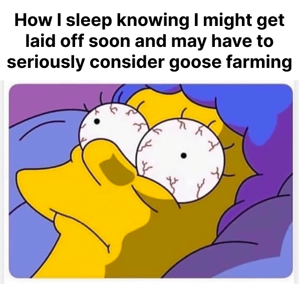 How I sleep knowing I might get laid off soon and may have to seriously consider goose farming