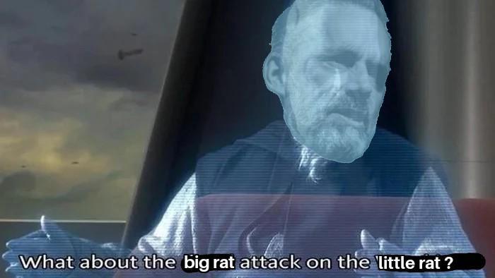 What about the big rat attack on the little rat?