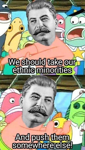 We should take our ethnic minorities And push them somewhere else!