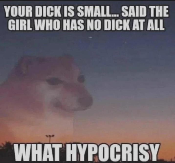 YOUR D--- IS SMALL... SAID THE GIRL WHO HAS NO D--- AT ALL WHAT HYPOCRISY