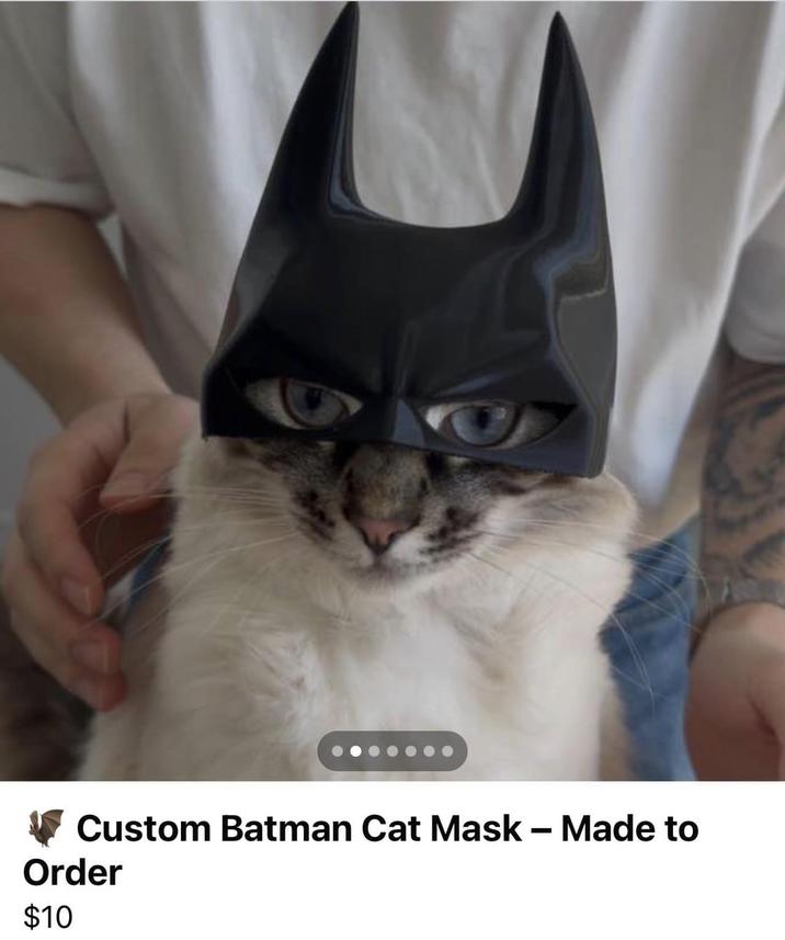 Custom Batman Cat Mask - Made to Order $10