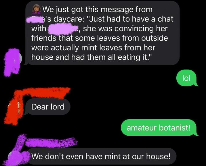 We just got this message from a's daycare: "Just had to have a chat with e, she was convincing her friends that some leaves from outside were actually mint leaves from her house and had them all eating it." Dear lord lol amateur botanist! We don't even have mint at our house!