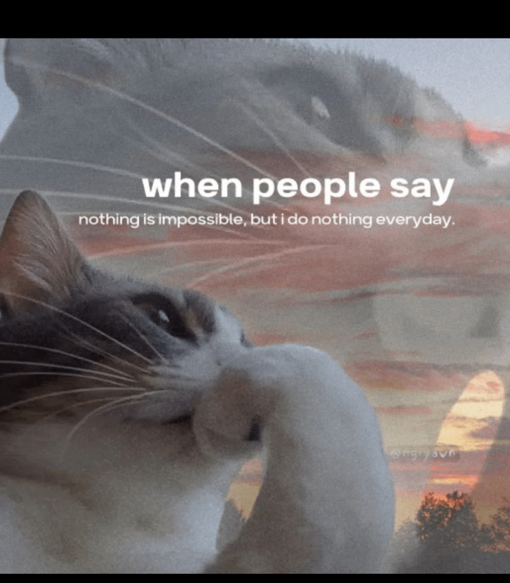 when people say nothing is impossible, but i do nothing everyday.