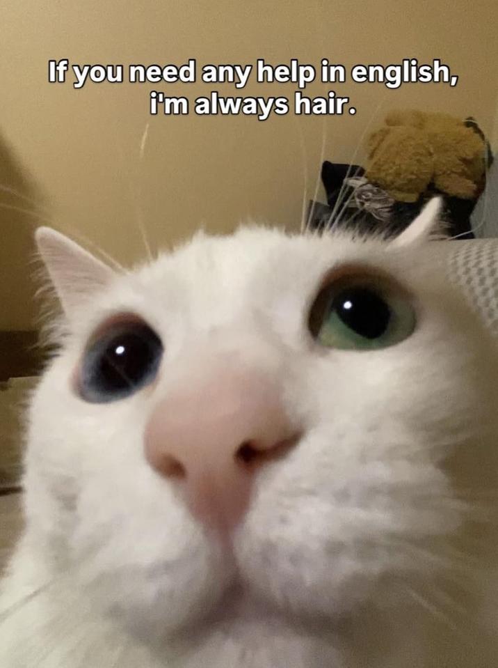 If you need any help in english, i'm always hair.