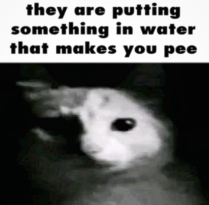 they are putting something in water that makes you pee