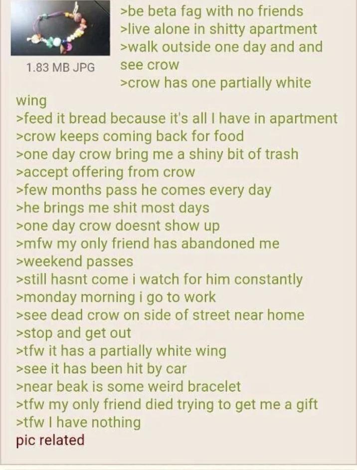 1.83 MB JPG wing >be beta f-- with no friends >live alone in s----- apartment >walk outside one day and and see crow >crow has one partially white >feed it bread because it's all I have in apartment >crow keeps coming back for food >one day crow bring me a shiny bit of trash >accept offering from crow >few months pass he comes every day >he brings me s--- most days >one day crow doesnt show up >mfw my only friend has abandoned me >weekend passes >still hasnt come i watch for him constantly >monday morning i go to work >see dead crow on side of street near home >stop and get out >tfw it has a partially white wing >see it has been hit by car >near beak is some weird bracelet >tfw my only friend died trying to get me a gift >tfw I have nothing pic related
