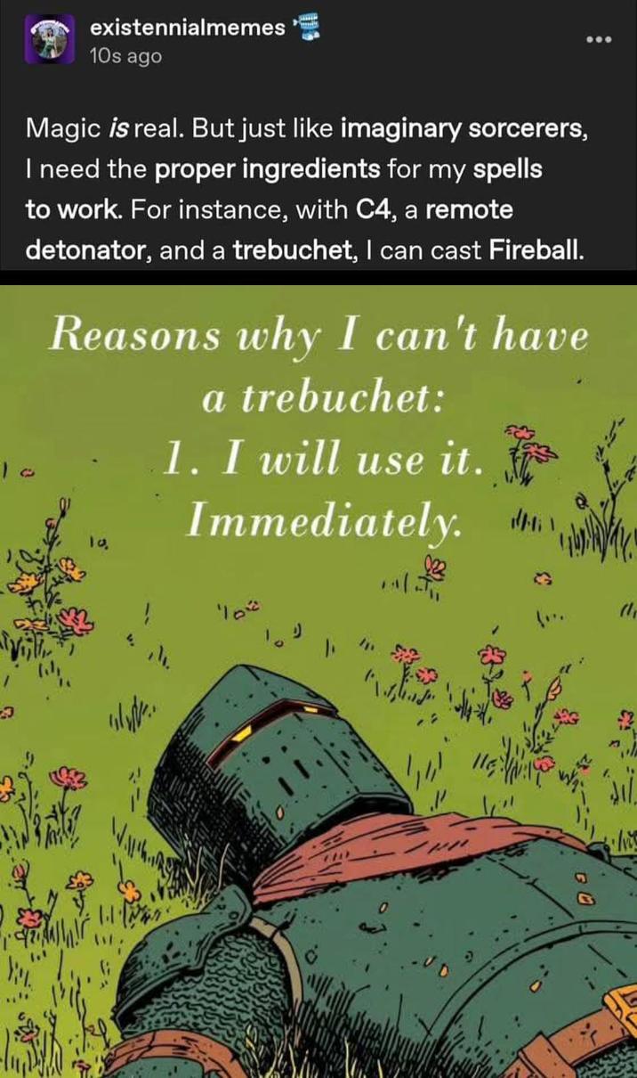 existennialmemes 10s ago Magic is real. But just like imaginary sorcerers, I need the proper ingredients for my spells to work. For instance, with C4, a remote detonator, and a trebuchet, I can cast Fireball. 10 Reasons why I can't have a trebuchet: 10. ! 1. I will use it. Immediately. den 110" 'V