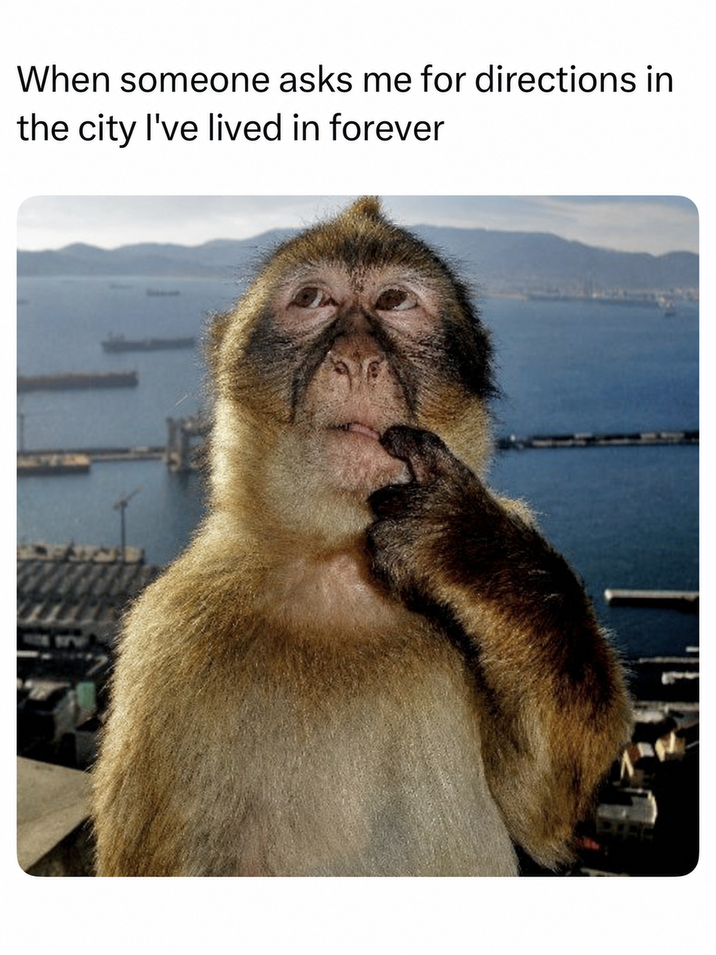 When someone asks me for directions in the city I've lived in forever