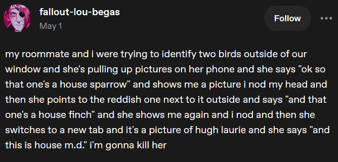 fallout-lou-begas May 1 Follow my roommate and i were trying to identify two birds outside of our window and she's pulling up pictures on her phone and she says "ok so that one's a house sparrow" and shows me a picture i nod my head and then she points to the reddish one next to it outside and says "and that one's a house finch" and she shows me again and i nod and then she switches to a new tab and it's a picture of hugh laurie and she says "and this is house m.d." i'm gonna kill her