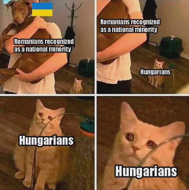 A Romanians recognized as a national minority Romanians recognized as a national minority Hungarians Hungarians Hungarians