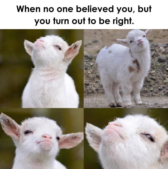 When no one believed you, but you turn out to be right.